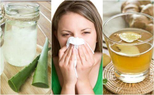 Allergisk rhinitt: 5 naturlige remedier