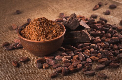 Kakaopulver