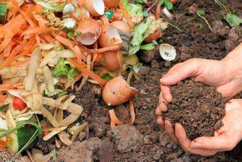 5 måter å lage naturlig kompost til plantene dine på