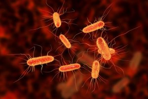 Kurer infeksjoner i tarmene med naturlige remedier!