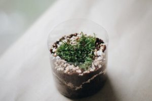 4 fremgangsmåter for å lage en potte av en plastflaske