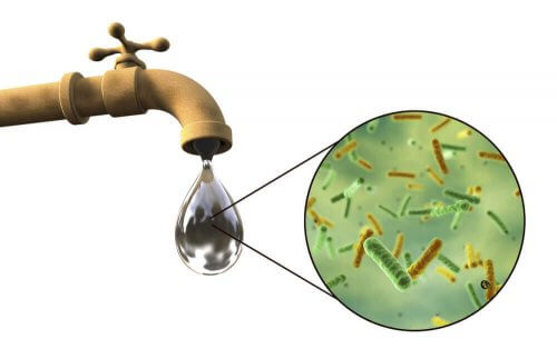 vann-bakterier