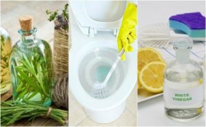 5 miljøvennlige desinfeksjonsmidler for badet