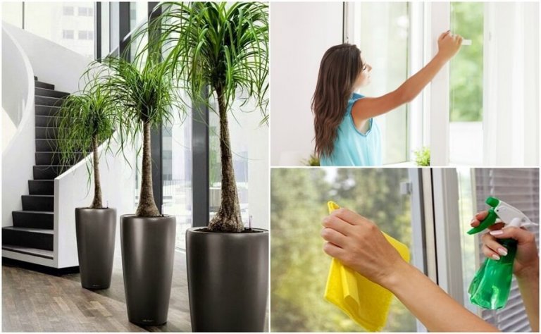 6 ting du kan gjøre for å forbedre luftkvaliteten i hjemmet ditt