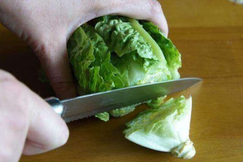 kutte-salat