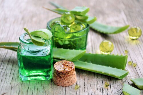 Aloe vera