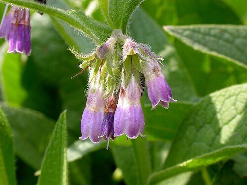 Hjemmelagde oppskrifter mot mørke flekker på huden