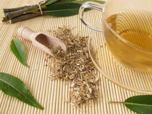 Hvitpilbark for å behandle leddbetennelse naturlig