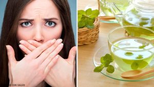 Oppdag bruken og egenskapene til mynte