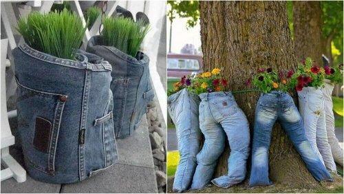 Du kan resirkulere jeans til blomsterpotter.
