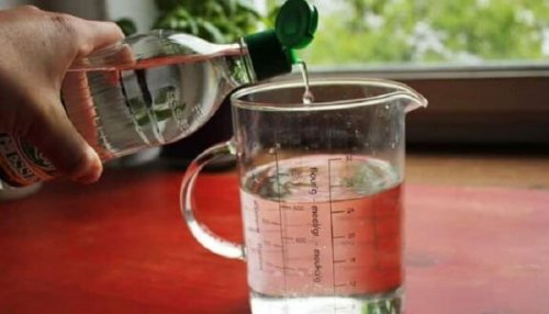 hvit eddik, salt, boraks