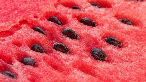 bli kvitt hodepine med vannmelon