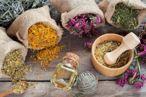 Aromatiske urter