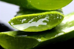 De fem beste helsefordelene med aloe vera