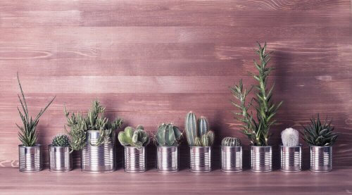 Tre måter å gjenbruke hermetikkbokser på