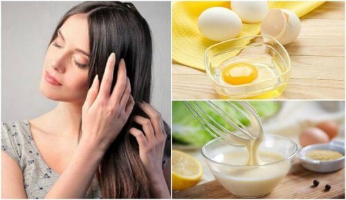 egg, melk og roser for hår