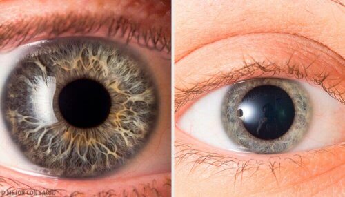 Se på øynene om han lyver