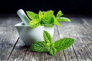 Peppermynte for å stoppe oppkast