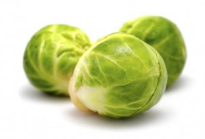 Rosenkål med saus av squashkrem
