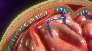 Infusjonspumpen: Bruksområder og pasientpleie
