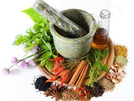 En visning av urter og krydder.