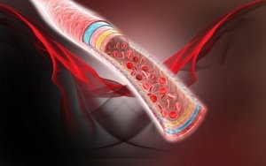 Fire naturlige midler for bedre blodsirkulasjon