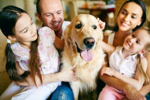 Hund og familie