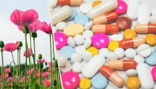 Opioid-medisiner og planter