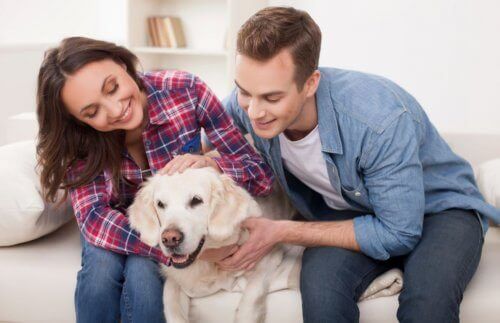Når kjæledyr går bort: Hund og familie