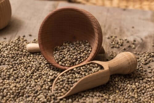 Melk av hamp har mange fordeler for kroppen.