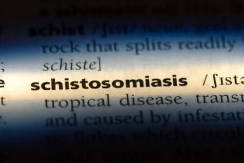 Hva er schistosomiasis og hvordan blir man smittet?