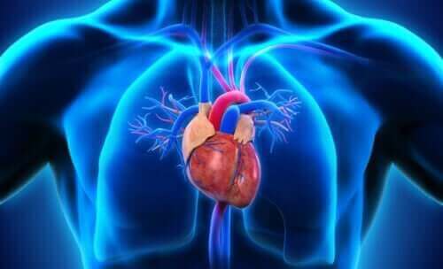 Arteriell stamme i en person.