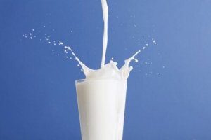 Helmelk og lettmelk: Hvilken er best?