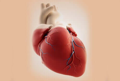 Hva er årsakene til hjertefeil i arteriestammen?