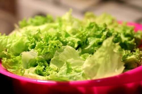 Salatvarianter og hvordan man kan dyrke dem