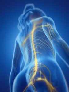 Hva er egentlig autonom hyperrefleksi?