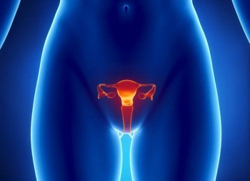 Et blått bilde av en kvinnes kropp der livmoren skiller seg ut