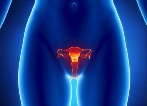 Et blått bilde av en kvinnes kropp der livmoren skiller seg ut