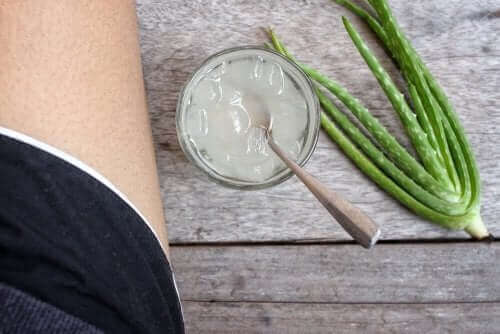 Aloe vera