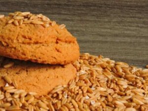 Sukkerfrie yoghurtkjeks med havremel