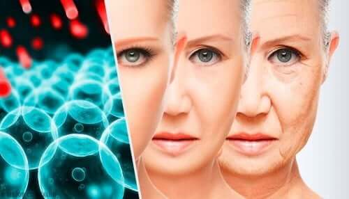 Når begynner vi å eldes?