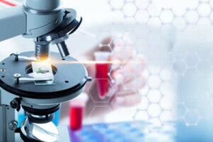 Hva er en flytende biopsi?