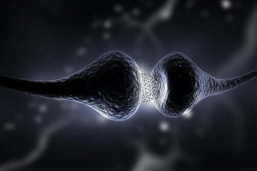 En illustrasjon av en synapse som frigjør serotonin.