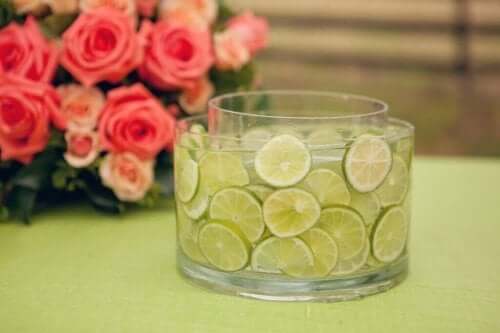 Limeskiver i en vase