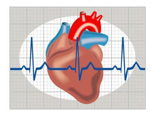 En digital fremstilling av hjertet.