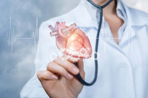 Medikamentet dobutamin: En lege som holder et plastisk hjerte.