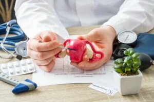 Alt du trenger å vite om polypper i livmoren