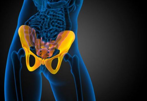 Illustrasjon av en hofte.