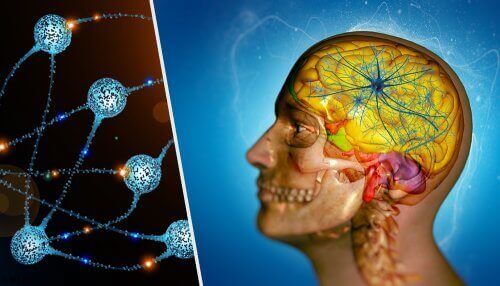 Illustrasjon kreftspredning til hjernen.