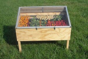 Slik lager du din egen soltørker for mat